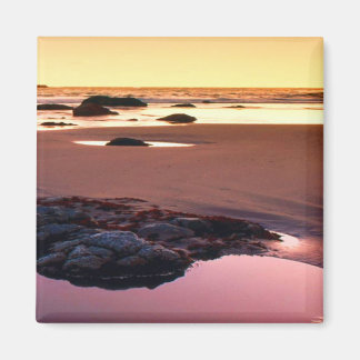 Brookings Harbour Sunset Fine Foto Magneet