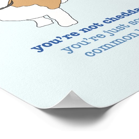 Brooklyn 99 Cheddar Poster (Hoek)