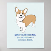 Brooklyn 99 Cheddar Poster (Voorkant)