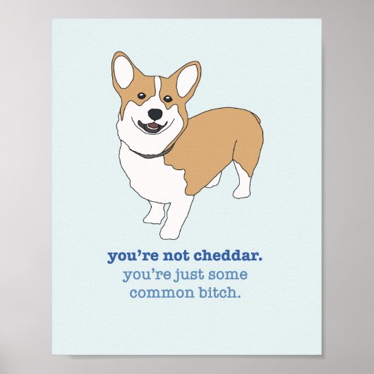 Brooklyn 99 Cheddar Poster (Voorkant)