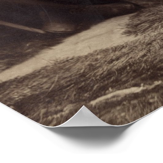 Brooklyn Baseball Team, 1889 Poster (Hoek)