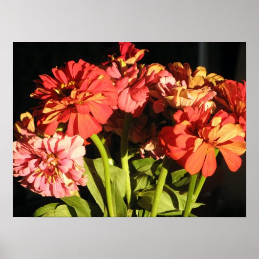 Brooklyn Bouquet Poster (Voorkant)