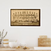 Brooklyn Dodgers Baseball 1913 Poster (Keuken)