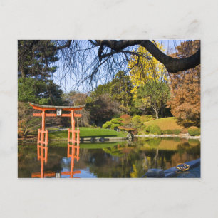 Brooklyn New York Botanic Garden Herfst Briefkaart