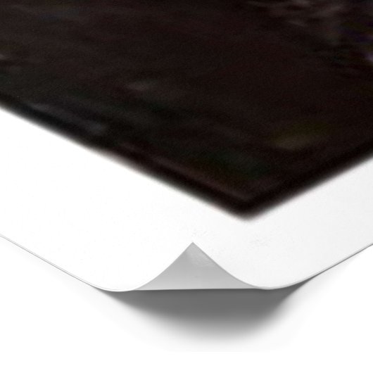 Brooklyn Nine Raymond Holt Portrait Print F (Hoek)