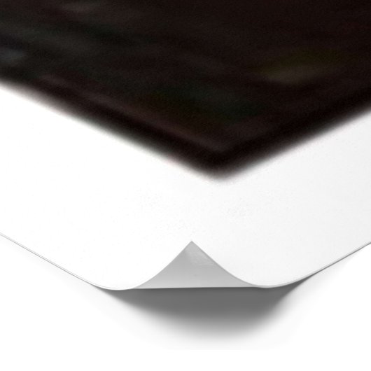 Brooklyn Nine Raymond Holt Portret Print (Hoek)