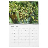 Brooklyn Orchids 2026 Calendar Kalender (Mar 2026)