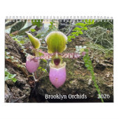 Brooklyn Orchids 2026 Calendar Kalender (Hoes)