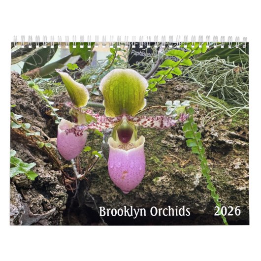 Brooklyn Orchids 2026 Calendar Kalender (Hoes)