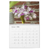 Brooklyn Orchids 2026 Calendar Kalender (Jan 2026)