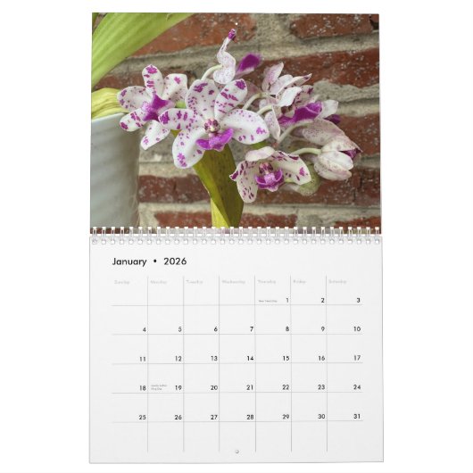 Brooklyn Orchids 2026 Calendar Kalender (Jan 2026)