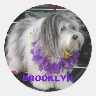 BROOKLYN PAARSE HAWAII-STICKERS RONDE STICKER