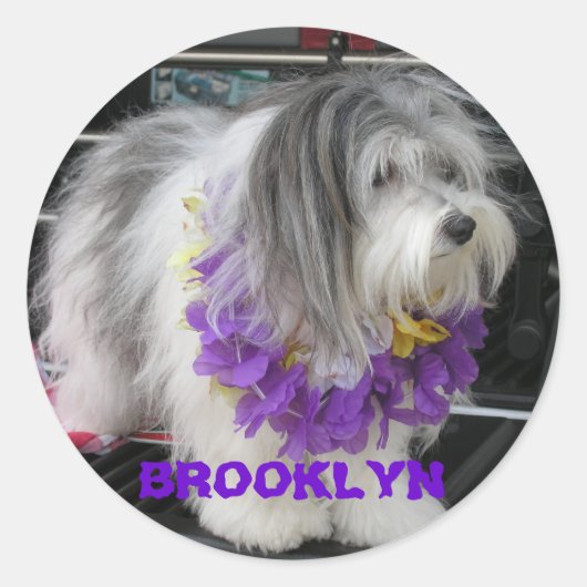 BROOKLYN PAARSE HAWAII-STICKERS RONDE STICKER (Voorkant)