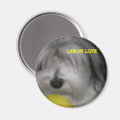 BROOKLYN REGEERT LEMON LOVE MAGNEET (Voorkant / Achterkant)
