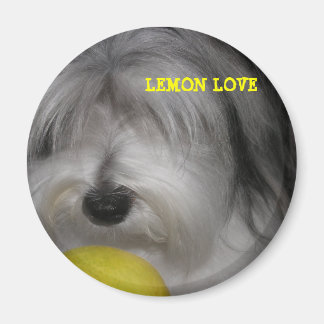BROOKLYN REGEERT LEMON LOVE MAGNEET