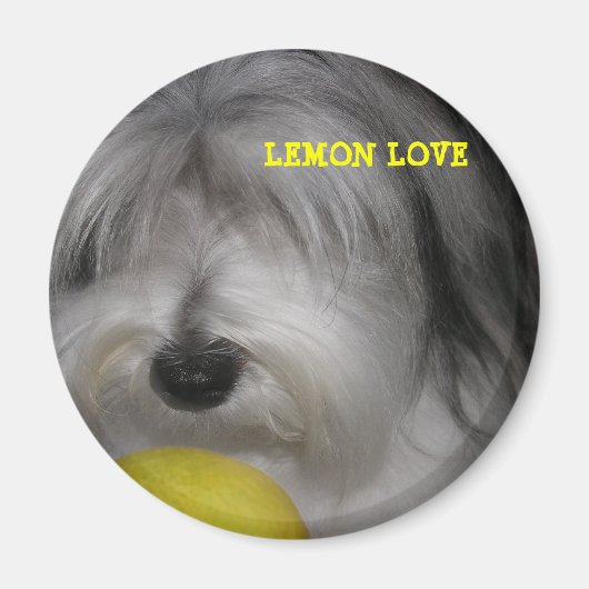 BROOKLYN REGEERT LEMON LOVE MAGNEET (Voorkant)