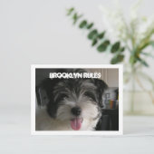 BROOKLYN REGELS BRIEFKAART (Staand voorkant)