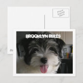 BROOKLYN REGELS BRIEFKAART (Voorkant / Achterkant)