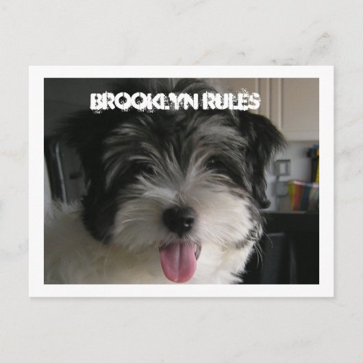 BROOKLYN REGELS BRIEFKAART (Voorkant)