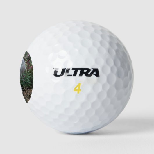 Brooklyn the Weimaraner Dog - Golf Balls Golfballen (Logo)