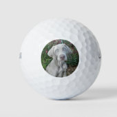 Brooklyn the Weimaraner Dog - Golf Balls Golfballen (Voorkant)