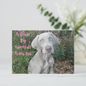 Brooklyn's Birthday Garden Party - Weimaraner Dog Bedankkaart (Staand voorkant)