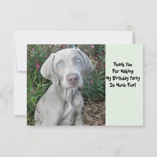 Brooklyn's Birthday Garden Party - Weimaraner Dog Bedankkaart (Achterkant)