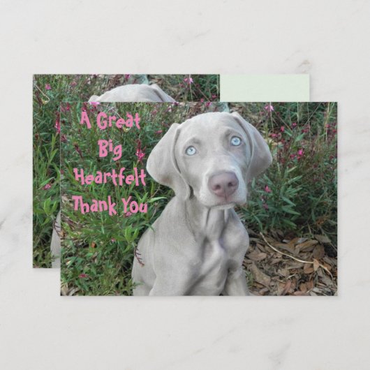 Brooklyn's Birthday Garden Party - Weimaraner Dog Bedankkaart (Voorkant / Achterkant)