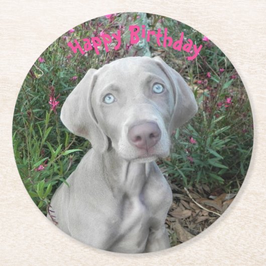 Brooklyn's Birthday Garden Party - Weimaraner Dog Ronde Kartonnen Onderzetter (Voorkant)