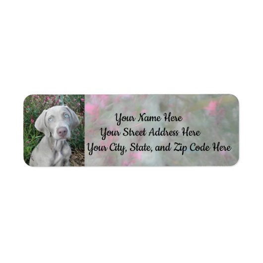 Brooklyn's Garden Party - Weimaraner Dog Address Etiket (Voorkant)