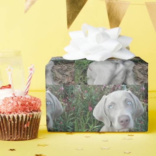 Brooklyn's Garden Party - Weimaraner Dog Cadeaupapier (Verjaardagsfeest)