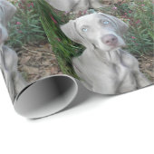 Brooklyn's Garden Party - Weimaraner Dog Cadeaupapier (Rol Hoek)