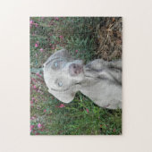 Brooklyn's Garden Party - Weimaraner Dog Legpuzzel (Verticaal)