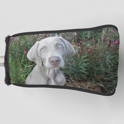 Brooklyn's Weimaraner Dog Golf Putter Head Hoesje Golfheadcover (Voorkant)