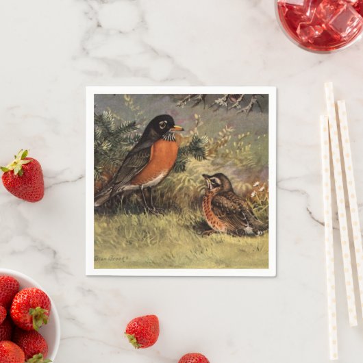 Brooks' American Robins Servet (Insitu)