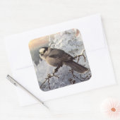 Brooks' Grey Jay in sneeuw Vierkante Sticker (Envelop)