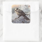 Brooks' Grey Jay in sneeuw Vierkante Sticker (Tas)