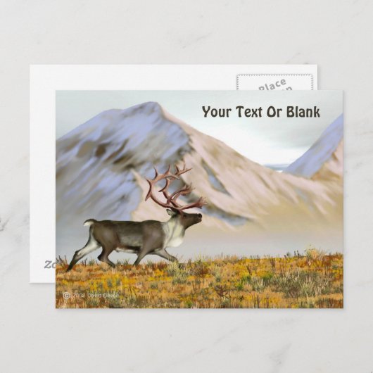 Brooks Range Cariou Briefkaart (Voorkant / Achterkant)