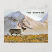 Brooks Range Cariou Briefkaart (Voorkant)