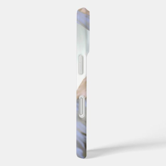 Brooks Range Cariou Case-Mate iPhone Case (Achterkant / Rechts)