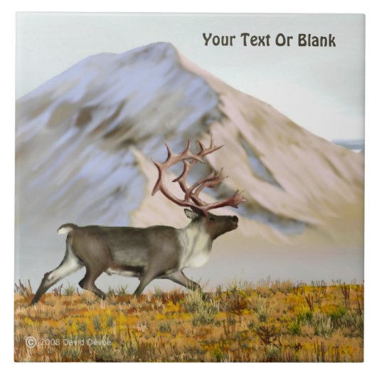 Brooks Range Cariou Tegeltje (Voorkant)