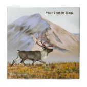 Brooks Range Cariou Tegeltje (Voorkant)