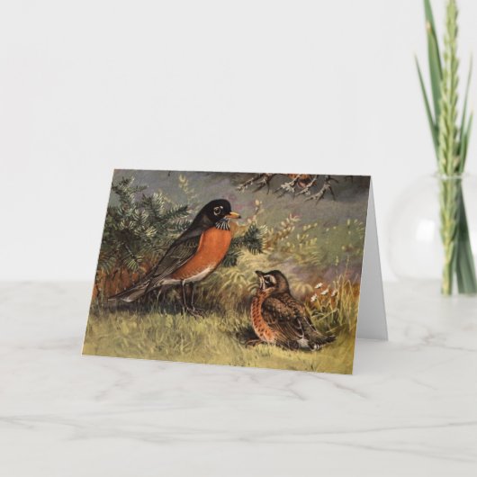 Brooks' Robins Kaart (Voorkant)