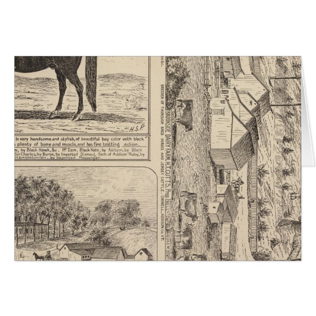 Brookside Dairy Boerderij (Voorkant Horizontaal)