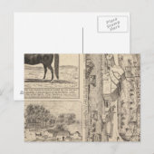 Brookside Dairy Boerderij Briefkaart (Voorkant / Achterkant)