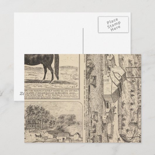 Brookside Dairy Boerderij Briefkaart (Voorkant / Achterkant)