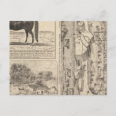 Brookside Dairy Boerderij Briefkaart (Voorkant)