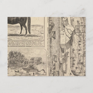 Brookside Dairy Boerderij Briefkaart