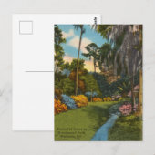 Brookwood Park, Valdosta Georgia Briefkaart (Voorkant / Achterkant)