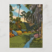  Brookwood Park, Valdosta Georgia Briefkaart (Voorkant)